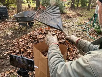 Leaf Raking & Bagging
